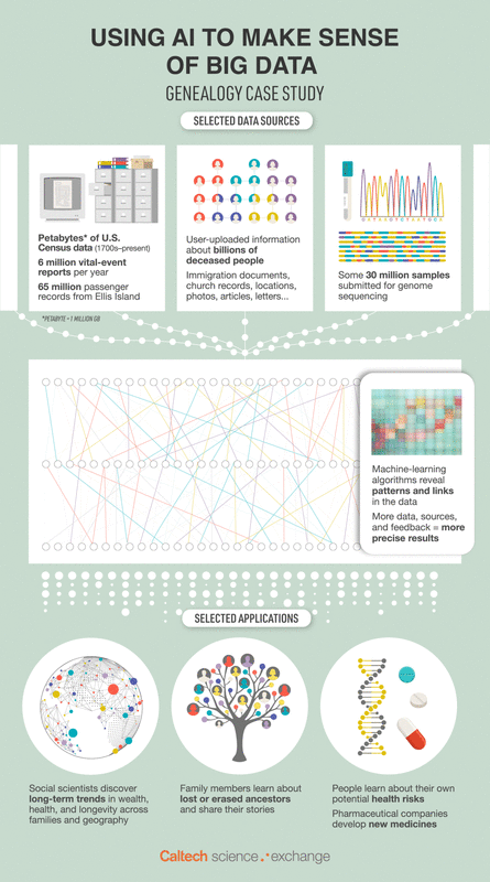 Infographic on using AI in genealogy: Data sources include U.S. Census records, genome samples, and user uploads. AI finds patterns in data, helping discover health risks, lost ancestors, and long-term trends in wealth, health, and geography.