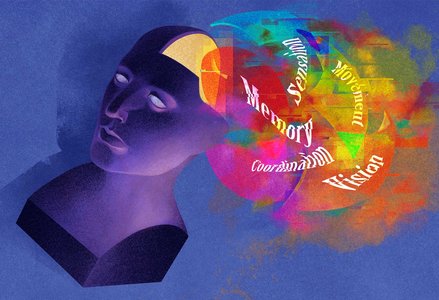 Illustration of a purple-toned human head with a transparent section revealing a colorful swirl of shapes and words like 'Memory,' 'Sensation,' 'Movement,' 'Coordination,' and 'Vision,' symbolizing various brain functions.