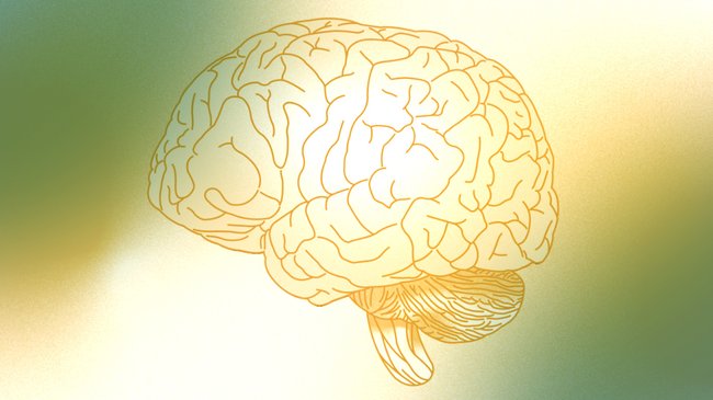 An illustration of a brain in soft, duotone colors, blending teal and orange hues. The lines defining the brain's anatomy are faint but detailed, highlighting the cerebral cortex and other brain structures against a gradient background.