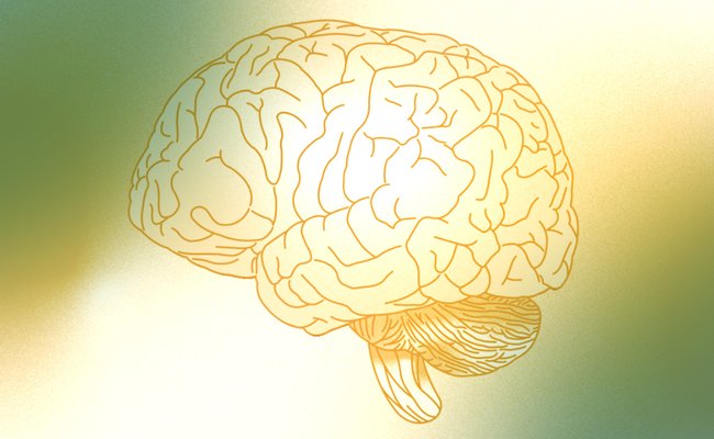 An illustration of a brain in soft, duotone colors, blending teal and orange hues. The lines defining the brain's anatomy are faint but detailed, highlighting the cerebral cortex and other brain structures against a gradient background.