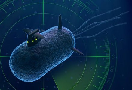 Illustration of a bacterium styled as a metallic submarine with fins and glowing green lights, set against a sonar radar background. The design emphasizes the concept of a 'cellular sonar' or biologically-inspired submarine.