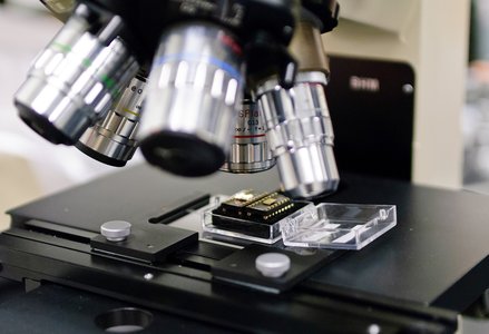 Close up photo of a microscope