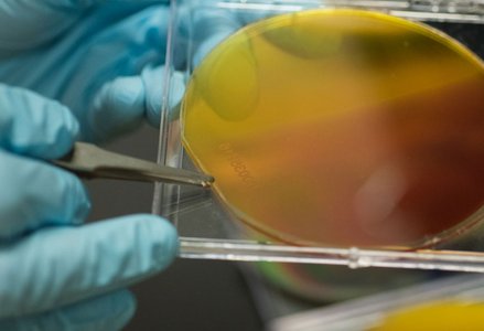 The Liquid Sunlight Alliance seeks to streamline artificial photosynthesis