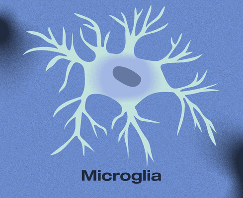A light-blue depiction of a microglia cell with multiple thin, branching arms extending outward. The abstract design emphasizes its role as the immune defense of the central nervous system. A textured blue background enhances the composition.