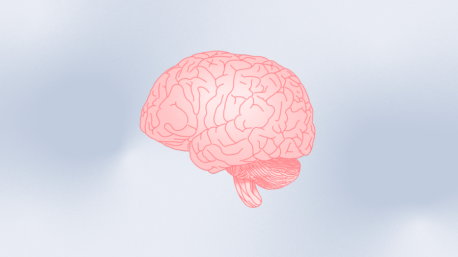 A soft pink, minimalist illustration of a human brain, set against a light blue and white gradient background that resembles a hazy sky.