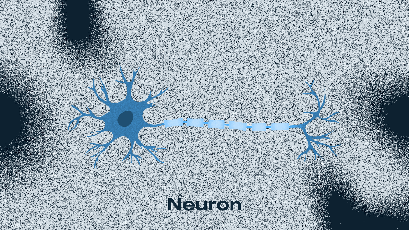 A stylized image of a neuron, displaying a central cell body with branching dendrites and a connected axon. The design uses soft blue tones to illustrate signal transmission, with the axon segments highlighted to depict neural pathways.