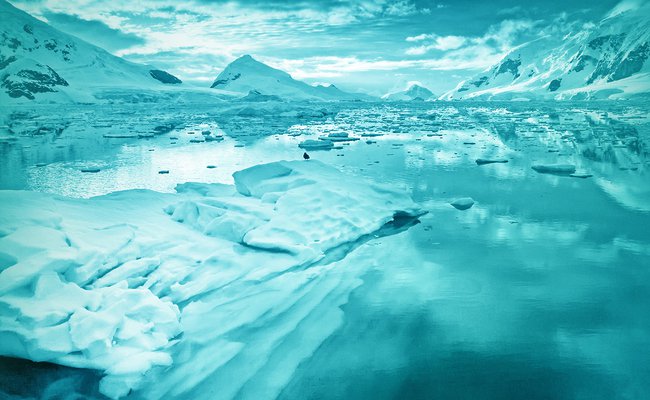 The arctic