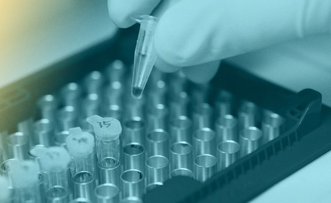 Testing in the Lab