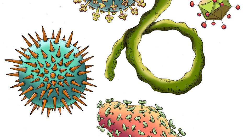 Artist's concept illustration of the various types of viruses.