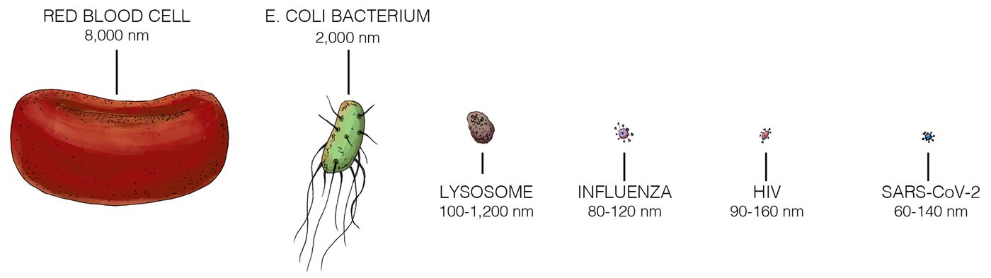 Artist's concept illustration showing the different scale sizes with a focus on viruses.
