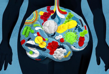 A human silhouette with a transparent abdomen shows colorful microbes symbolizing gut microbiome diversity, highlighting bacteria, viruses, and other microorganisms.