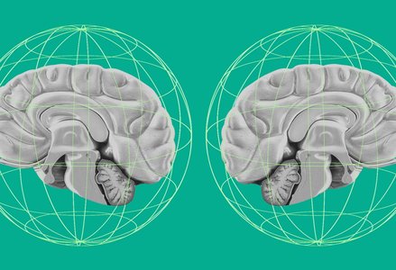 Two stylized, mirrored images of human brains in gray tones, positioned side by side against a bright teal background. Both brains are overlaid with thin, green wireframe spherical grids, evoking a sense of data networks or interconnected systems.