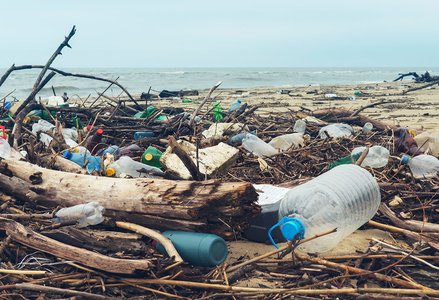 Plastics littered on the beach