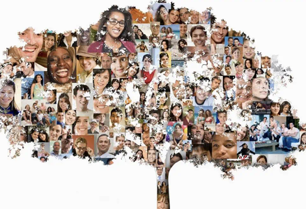 A tree made of photos of a diverse group of people.