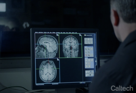 Image of a researcher observing a computer monitor displaying detailed brain scans in a darkened room. The screen shows multiple cross-sectional views of the brain.