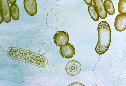 various bacteria and other microbes green under a microscope