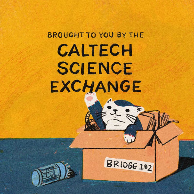 Brought to you by the Caltech Science Exchange with a cat batting at the "H" in Exchange