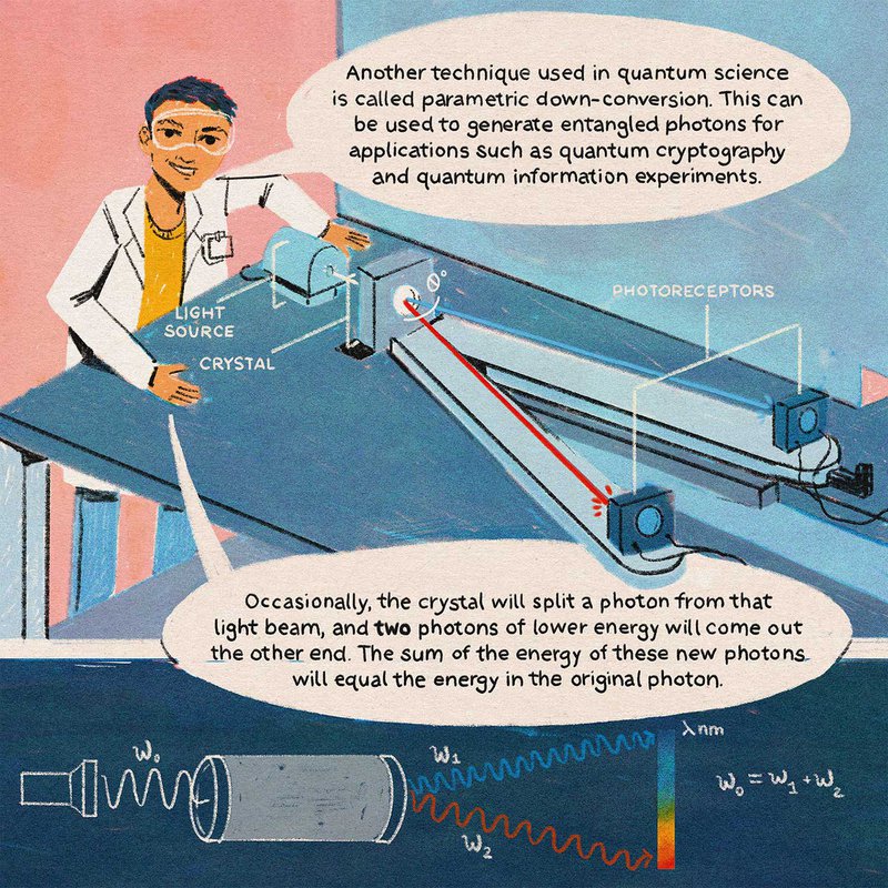 Illustration of a scientist demonstrating parametric down-conversion, where a photon splits into two lower-energy photons via a crystal, used for quantum experiments. Diagrams show energy conservation and light paths to photoreceptors.