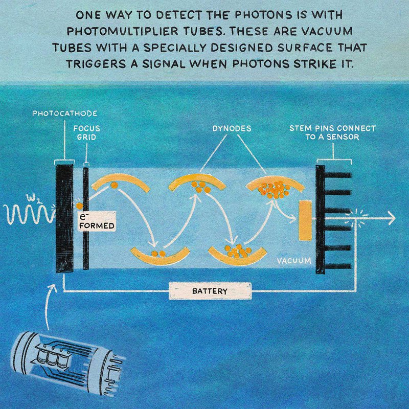 One way to detect the photos is with photomultiplier tubes. These are vacuum tube with a specially designed surface that triggers a signal when photons stroke it.