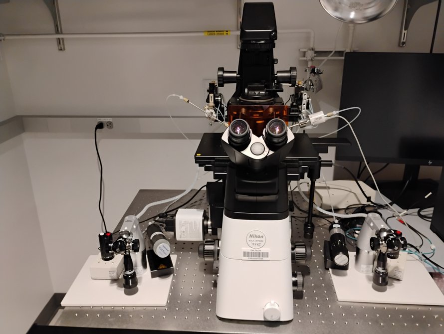 Microinjection setup
