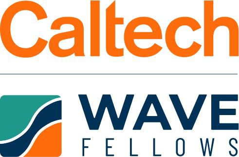 WAVE Logo Compact 2