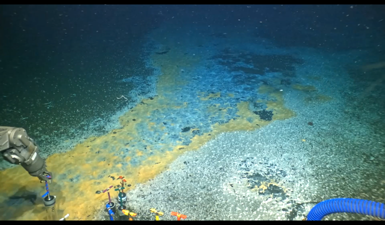 methane seep