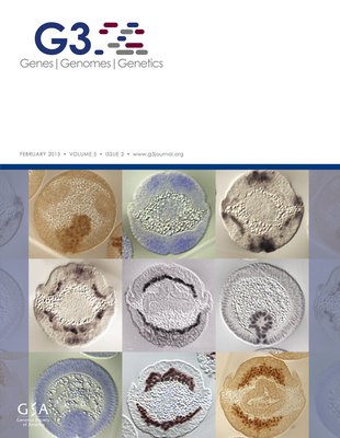 G3 cover