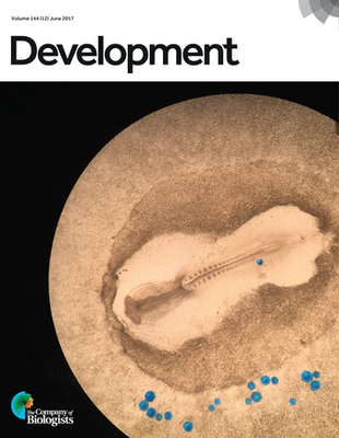 chick taken by iPhone