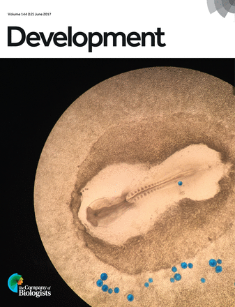 chick taken by iPhone