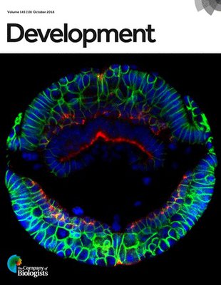 development cover Sun 2018