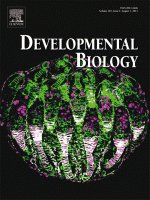 irizarry_cover_DB2015