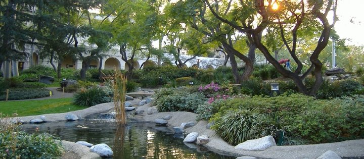 Caltech Turtle Pond
