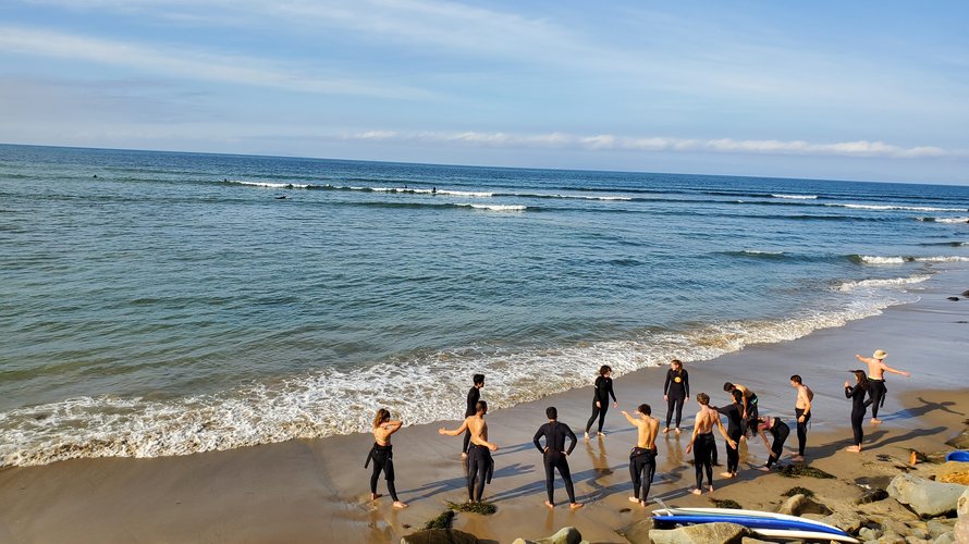 surf