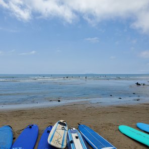 surf