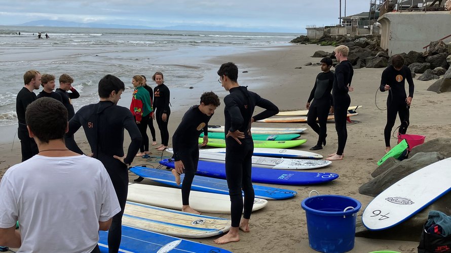 surf