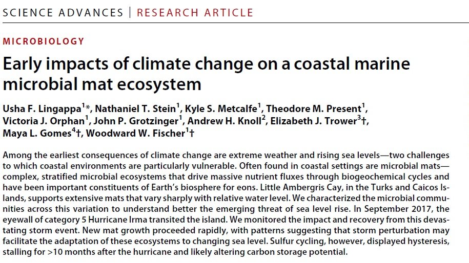 Lingappe et al., Science Advances, 2022