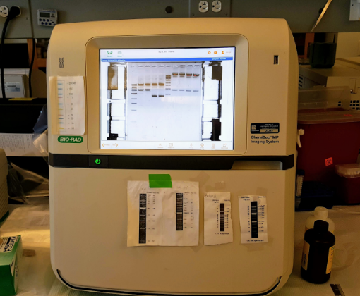 Bio-Rad Touch Imaging System system