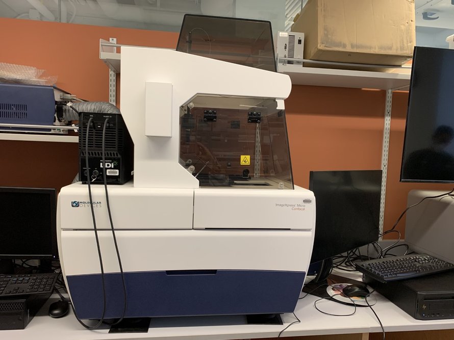 confocal