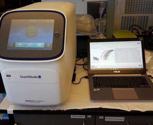 QuantStudio 5 Real-Time PCR