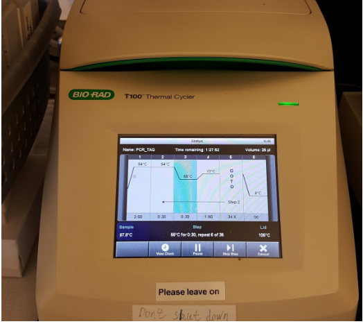 T100™ Thermal Cycler