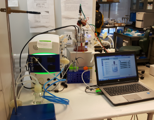 iCELLis® Nano High-cell density small-scale Bioreactor