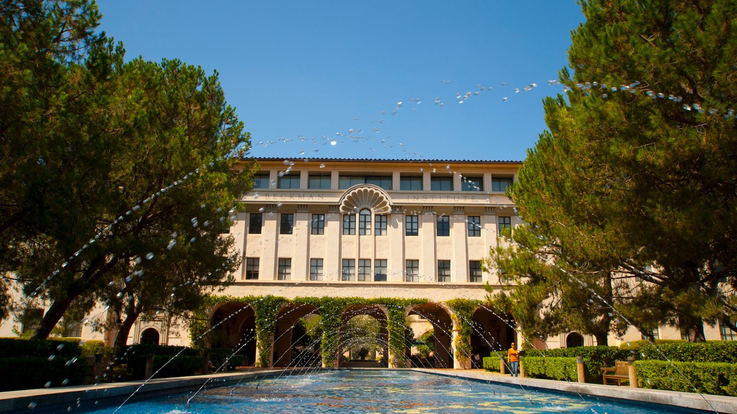 The Gene Pool fountain in front of the Beckman Institute shows colored tiles underwater in a double-helix pattern.