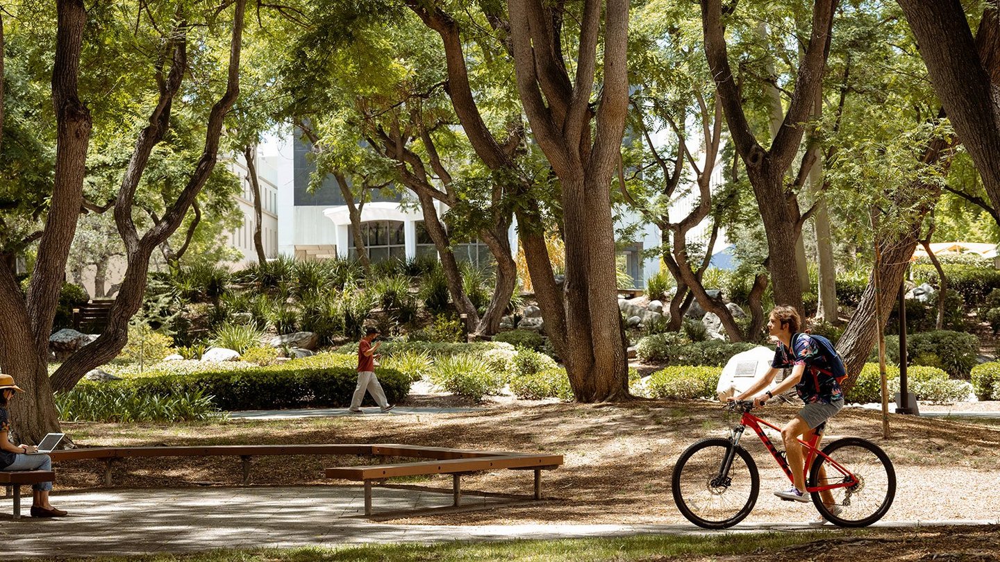 A student bicycling on campus under a canopy of trees.