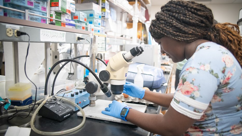 FSRI student Angie Moussambote conducting research in the lab.