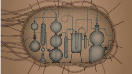 A visualization of a protein