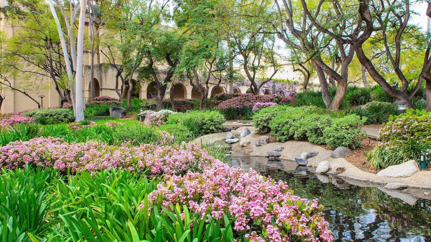 Throop Pond under a canopy of trees and surrounded by flowers on Caltech campus.