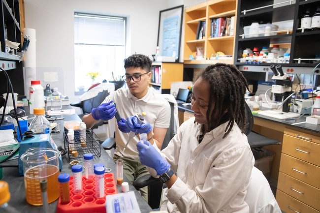 Two students using pipettes in a lab