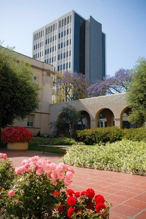 Roses & Millikan