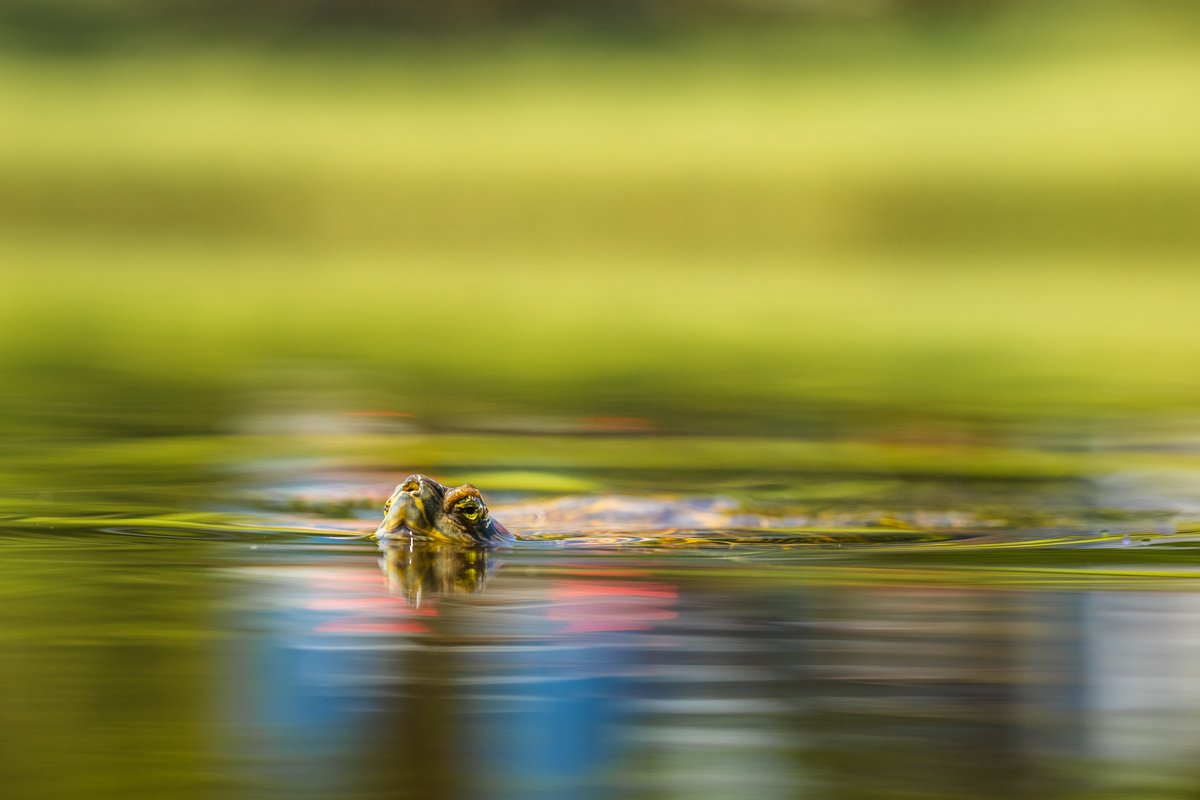 Will Griffiths  - Instagram @willgsphoto - willgriffithsphotography.co.uk.