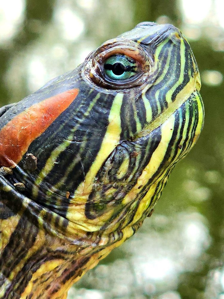 best closeup 2023